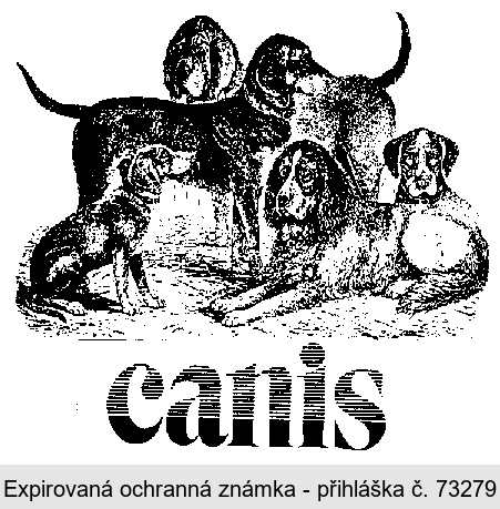 canis