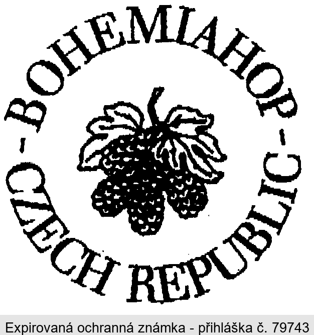 BOHEMIAHOP CZECH REPUBLIC