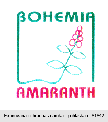 BOHEMIA AMARANTH