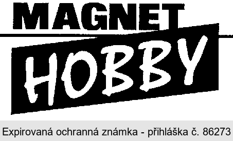 MAGNET HOBBY