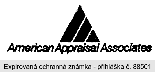 American Appraisal Associates