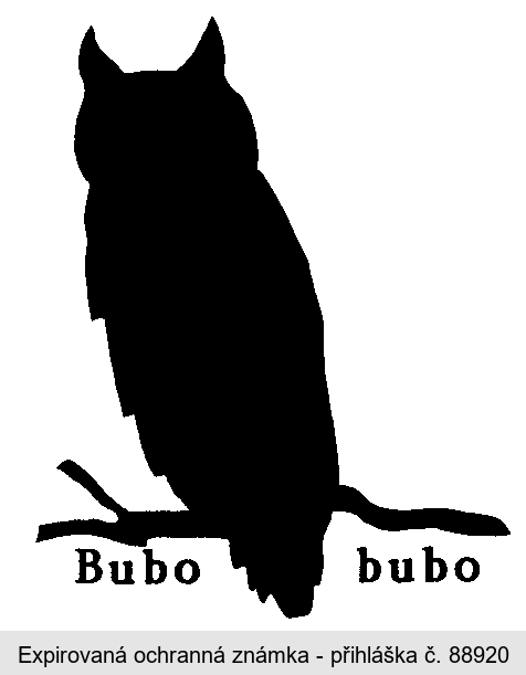 BUBO BUBO