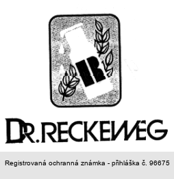 DR. RECKEWEG