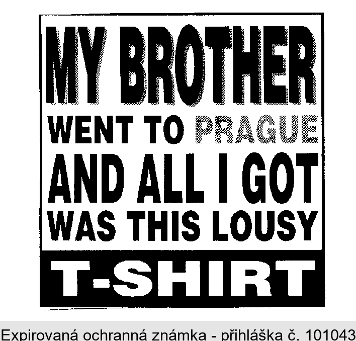 MY BROTHER WENT TO PRAGUE AND ALL I GOT WAS THIS LOUSY T-SHIRT