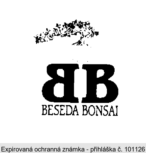 BB BESEDA BONSAI