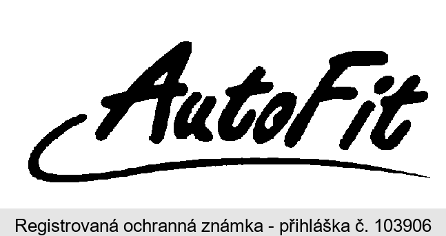 AutoFit