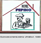 HOTEL PEPINO