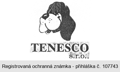 TENESCO s.r.o.