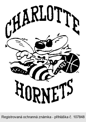 CHARLOTTE HORNETS