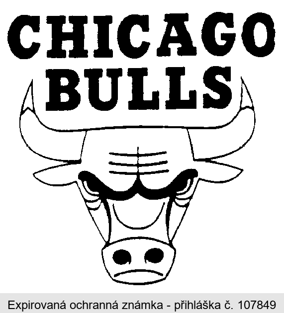 CHICAGO BULLS