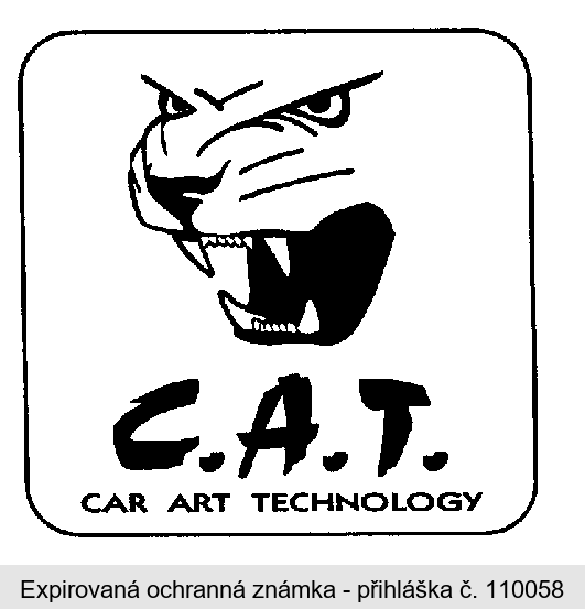 C.A.T. CAR ART TECHNOLOGY