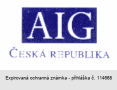 AIG Česká republika