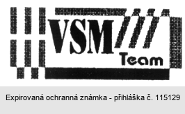 VSM Team
