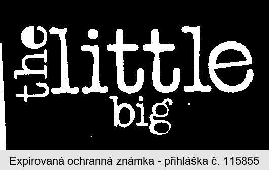 the little big