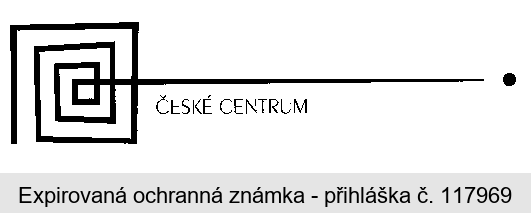 ČESKÉ CENTRUM