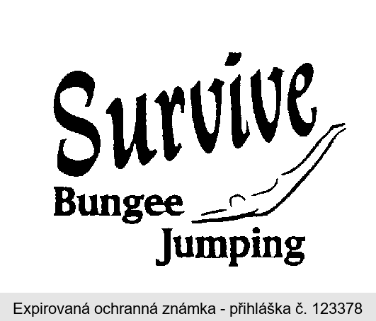 Survive Bungee Jumping