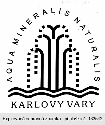 AQUA MINERALIS NATURALIS KARLOVY VARY