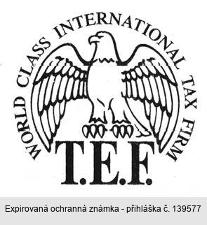 WORLD CLASS INTERNATIONAL TAX FIRM T.E.F.