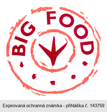 BIG FOOD