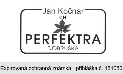 Jan Kočnar CH PERFEKTRA DOBRUŠKA
