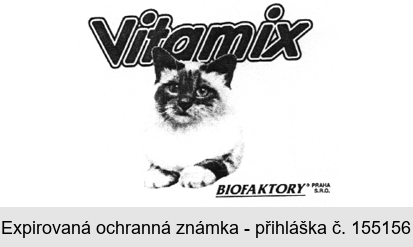 Vitamix BIOFAKTORY