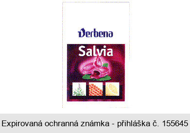 Verbena Salvia