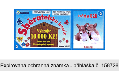 Sběratelská loterie štěňata Basenji