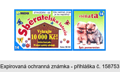 Sběratelská loterie štěňata Špic pomeranian