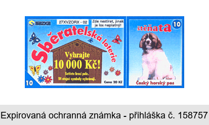 Sběratelská loterie štěňata Český horský pes