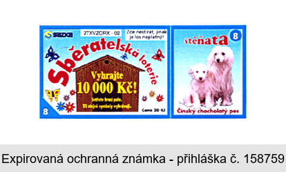 Sběratelská loterie štěňata Čínský chocholatý pes