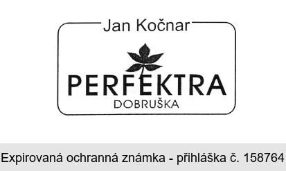 Jan Kočnar PERFEKTRA DOBRUŠKA