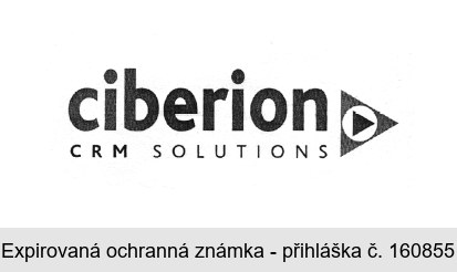 ciberion CRM SOLUTIONS