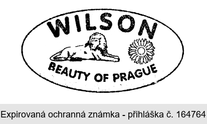 WILSON BEAUTY OF PRAGUE