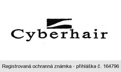Cyberhair