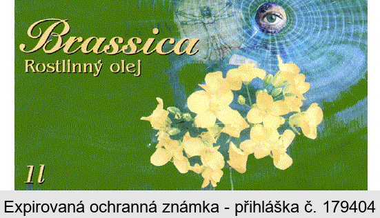 Brassica Rostlinný olej