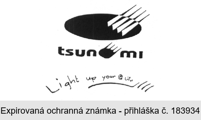 tsunami light up your life