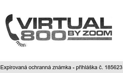 VIRTUAL 800 BY ZOOM