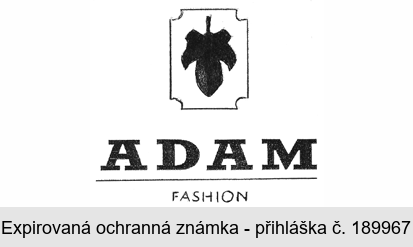 ADAM fashion