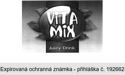VITA MIX Juicy Drink