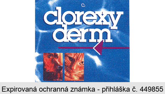 clorexy derm