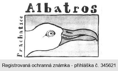 Albatros Prachatice