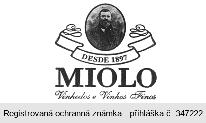 DESDE 1897 MIOLO Vinhedos e Vinhos Finos