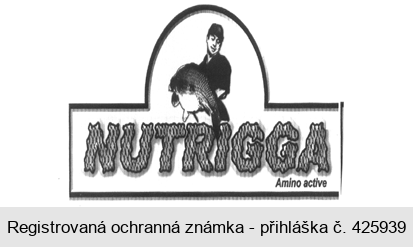 NUTRIGGA Amino active