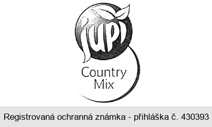 jupí Country Mix