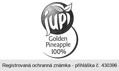 jupí Golden Pineapple 100%