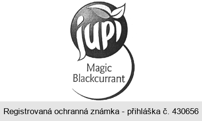 jupí Magic Blackcurrant