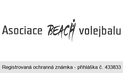 Asociace BEACH volejbalu