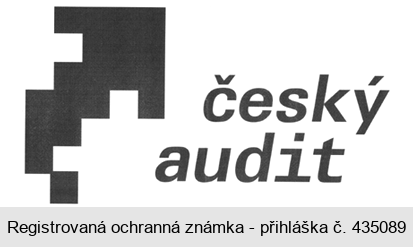 český audit