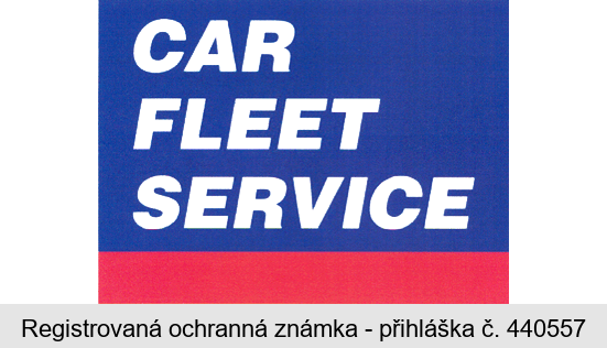 CAR FLEET SERVICE