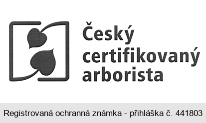 Český certifikovaný arborista